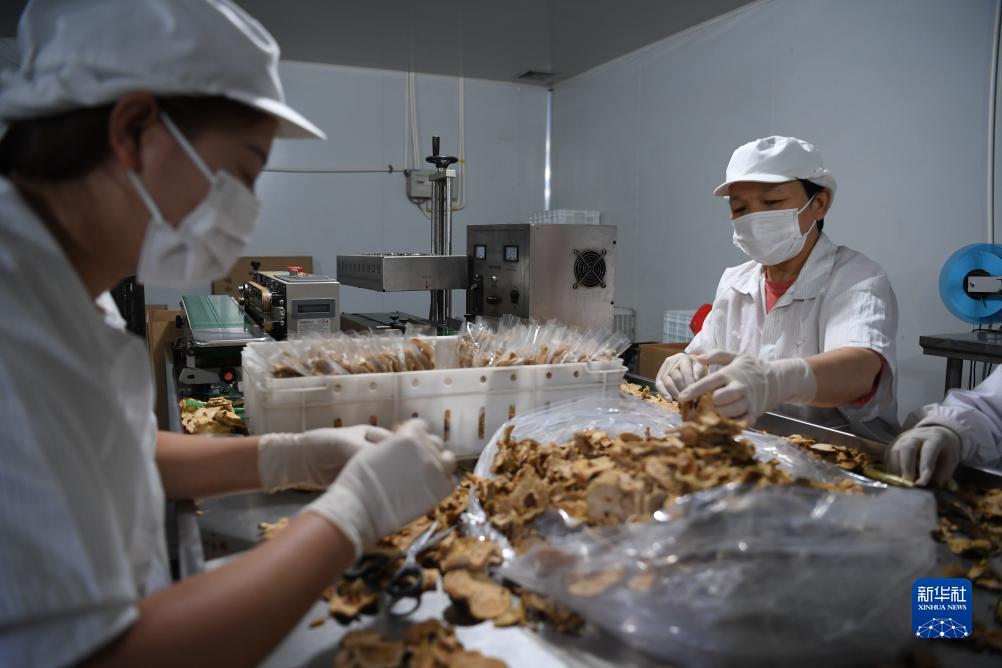 游戏开发大亨捕鱼